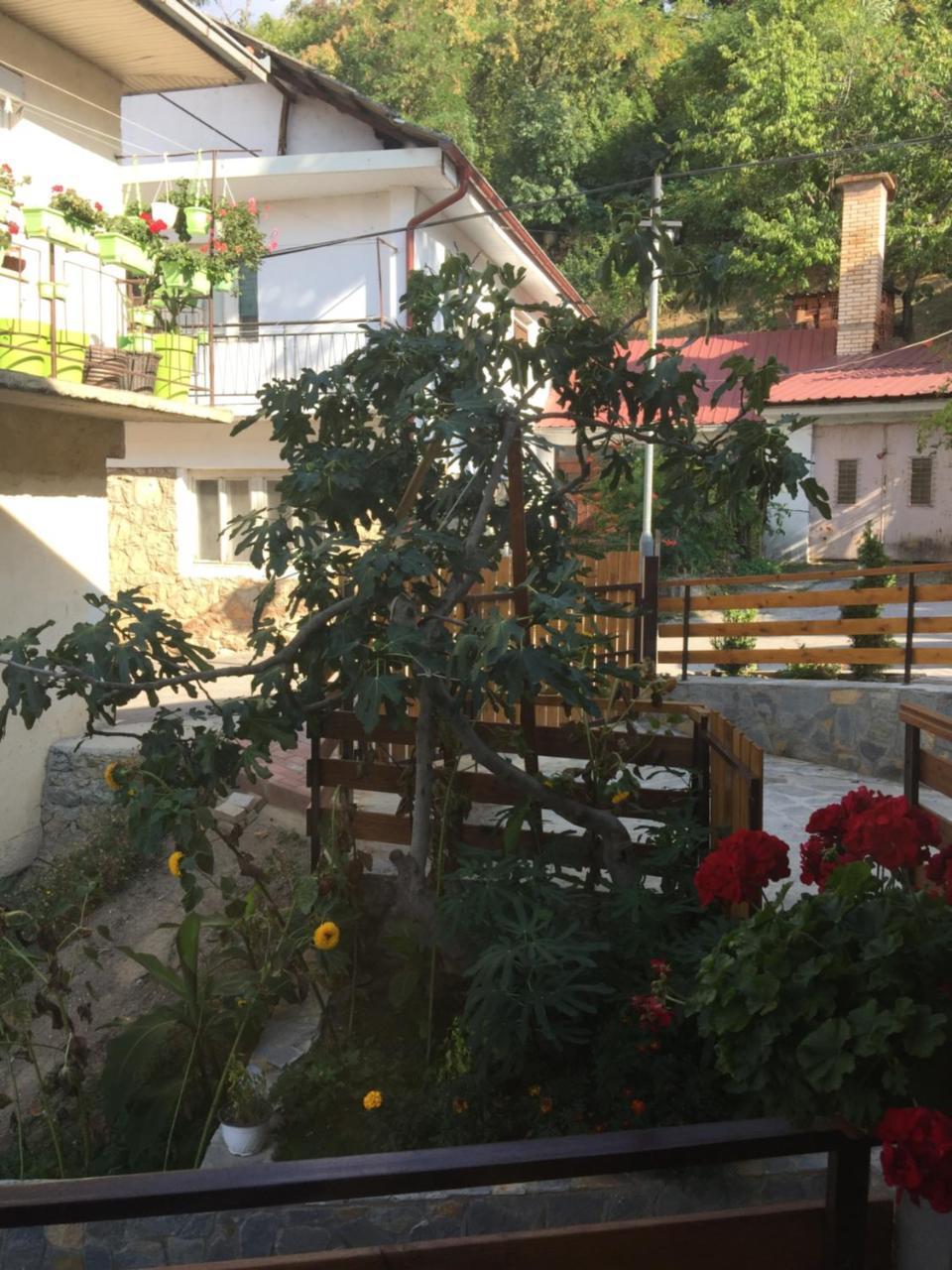Apartamento madox Ohrid Exterior foto
